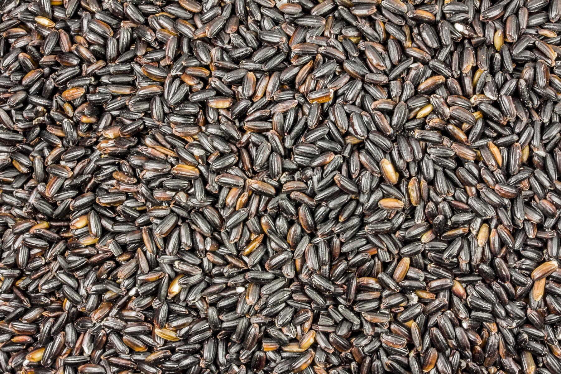 Arroz integral negro orgánico 25kg