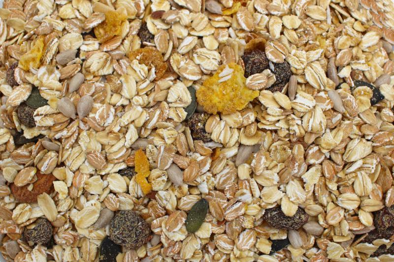 Müsli Vital orgánico 12,5kg