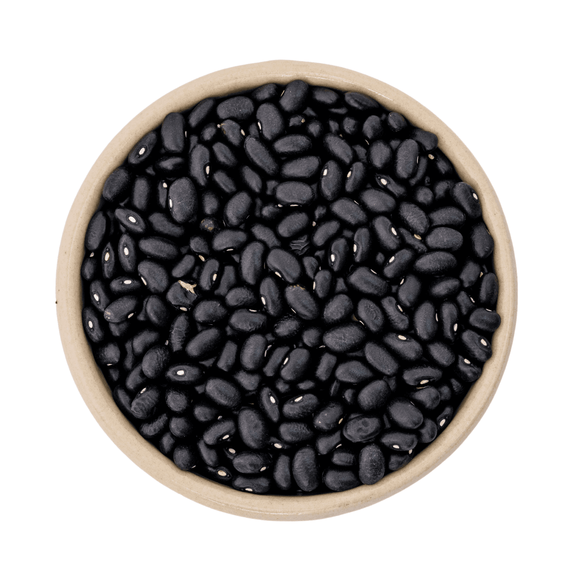 Frijoles negros orgánicos (black turtle) 11.34kg