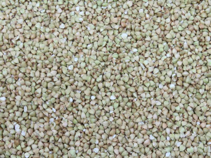 Alforfón pelado orgánico Europa 25kg