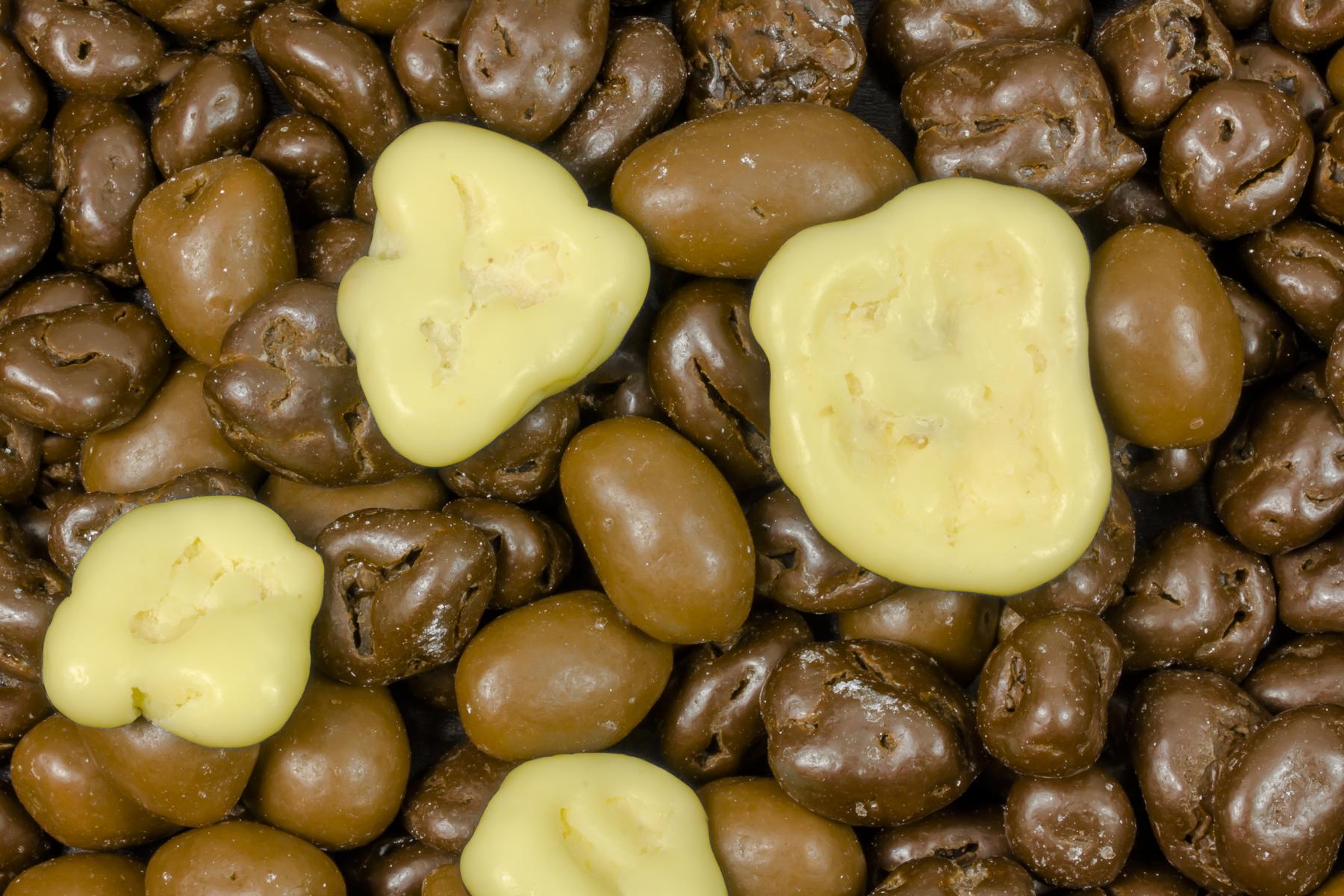 Mezcla de frutos secos y frutas con chocolate orgánico 5kg