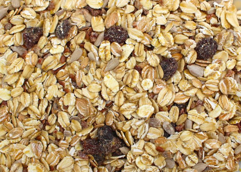 Base de Müsli orgánica 12,5kg