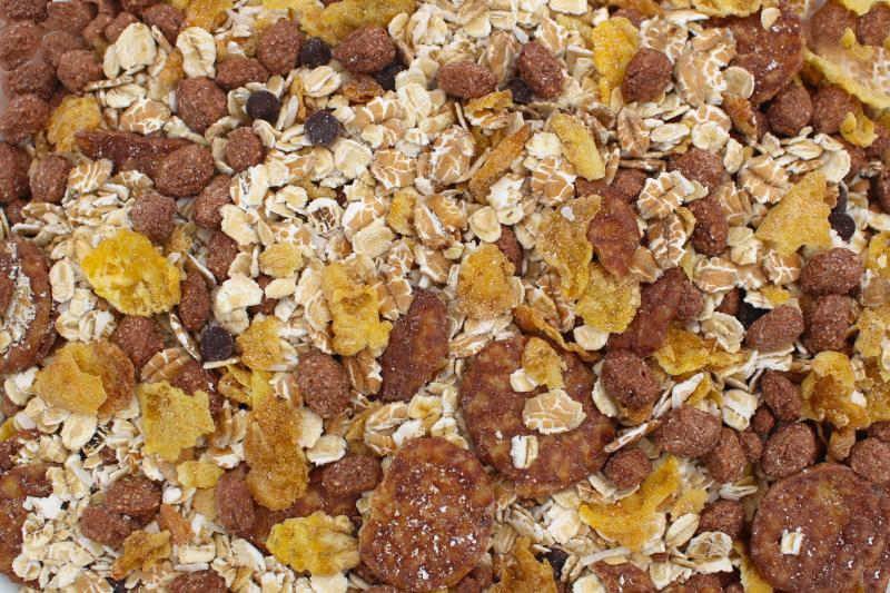 Müsli de Chocolate Orgánico 5kg