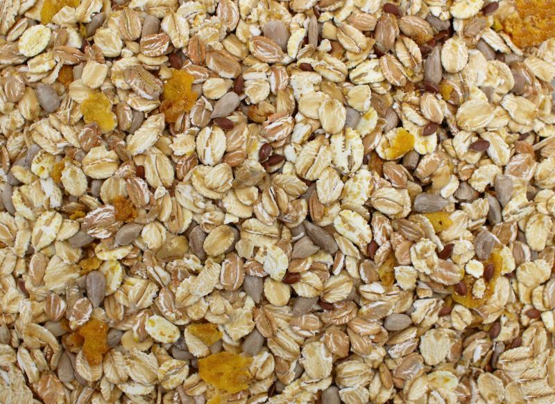 Muesli sin pasas orgánico 25kg