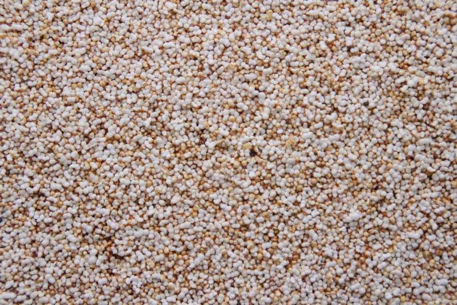 Amaranto inflado orgánico 15kg