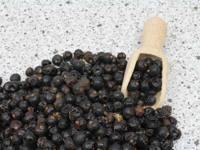 Bayas de enebro ecológicas 19.70kg