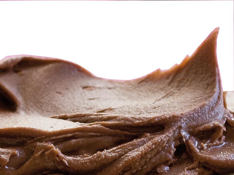Crema de avellana Samba orgánica 8kg