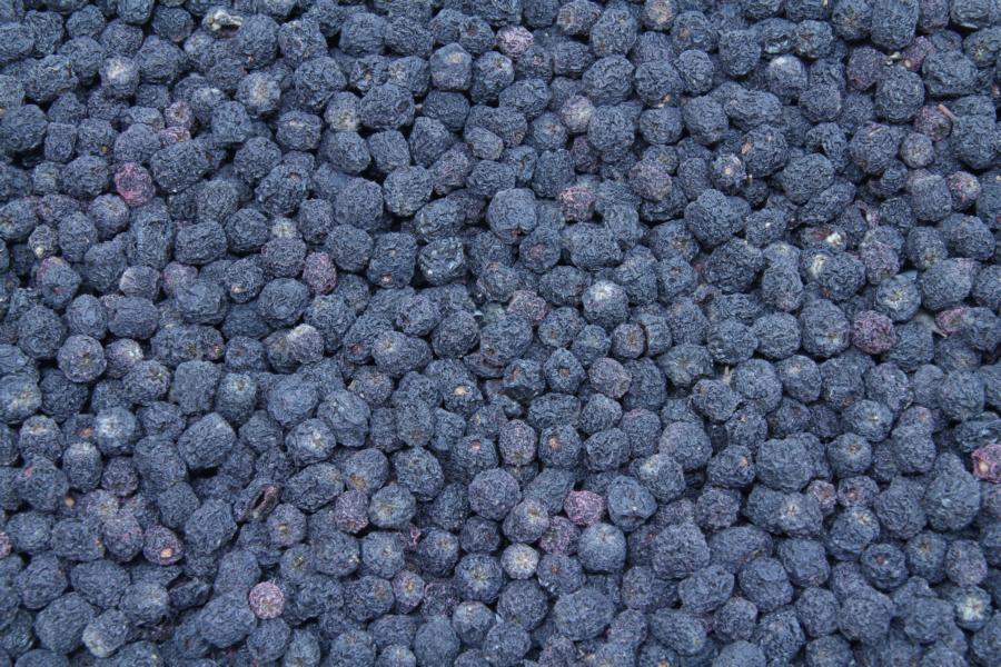 Bayas de Aronia orgánicas 1kg