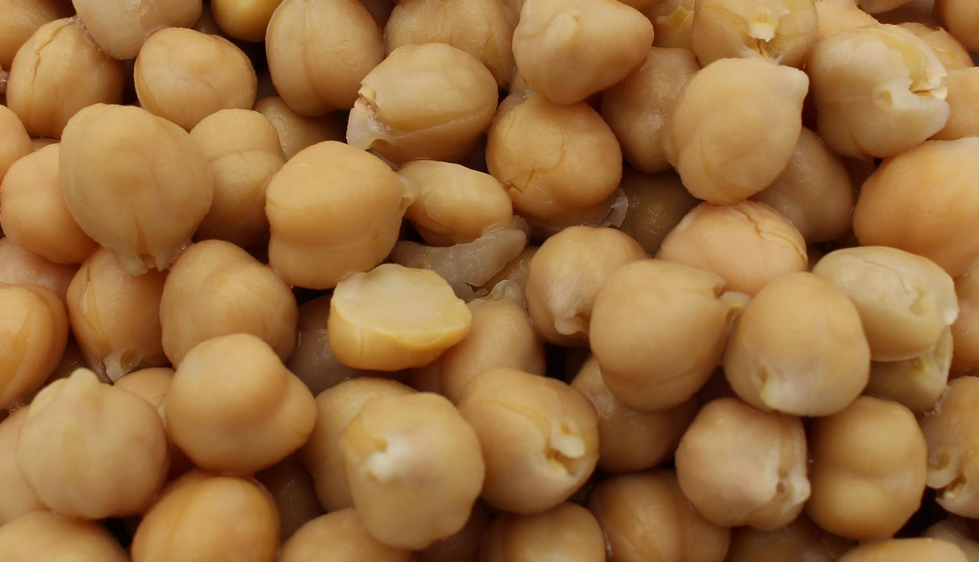 Garbanzos Orgánicos Marschland Cantidad: 2,6kg, ATG 1,5kg