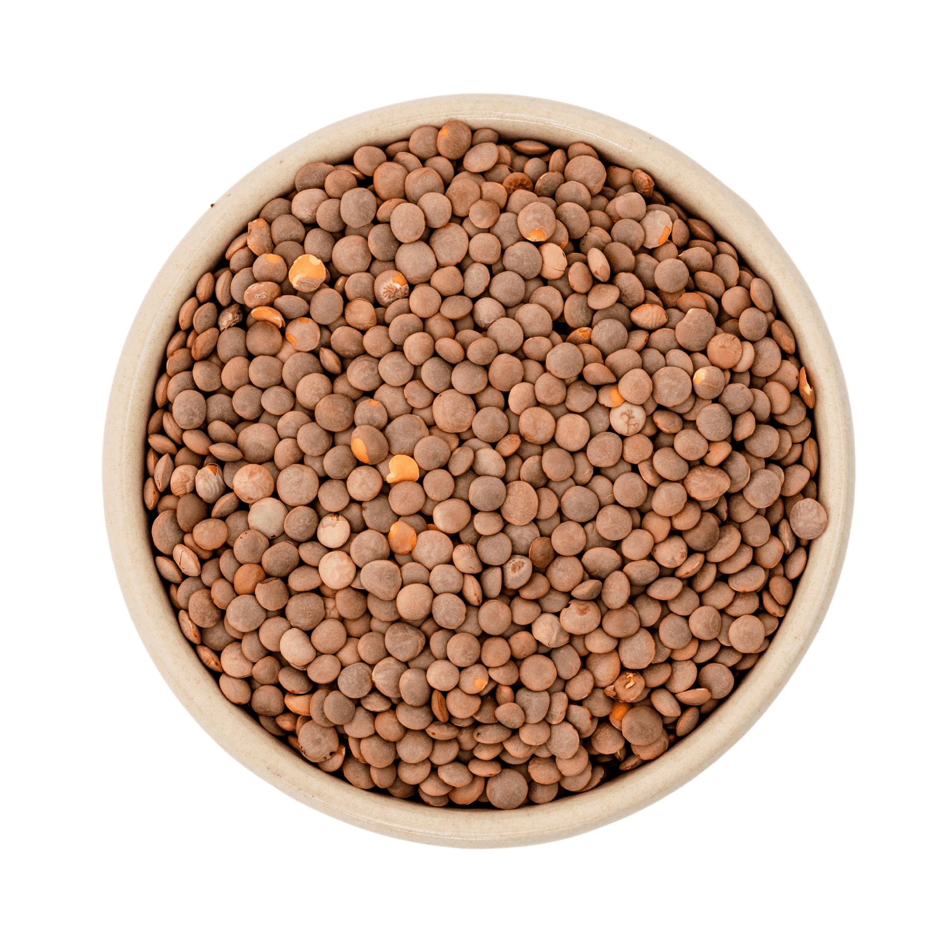 Lentejas de montaña marrones orgánicas (Gourmet) 5kg