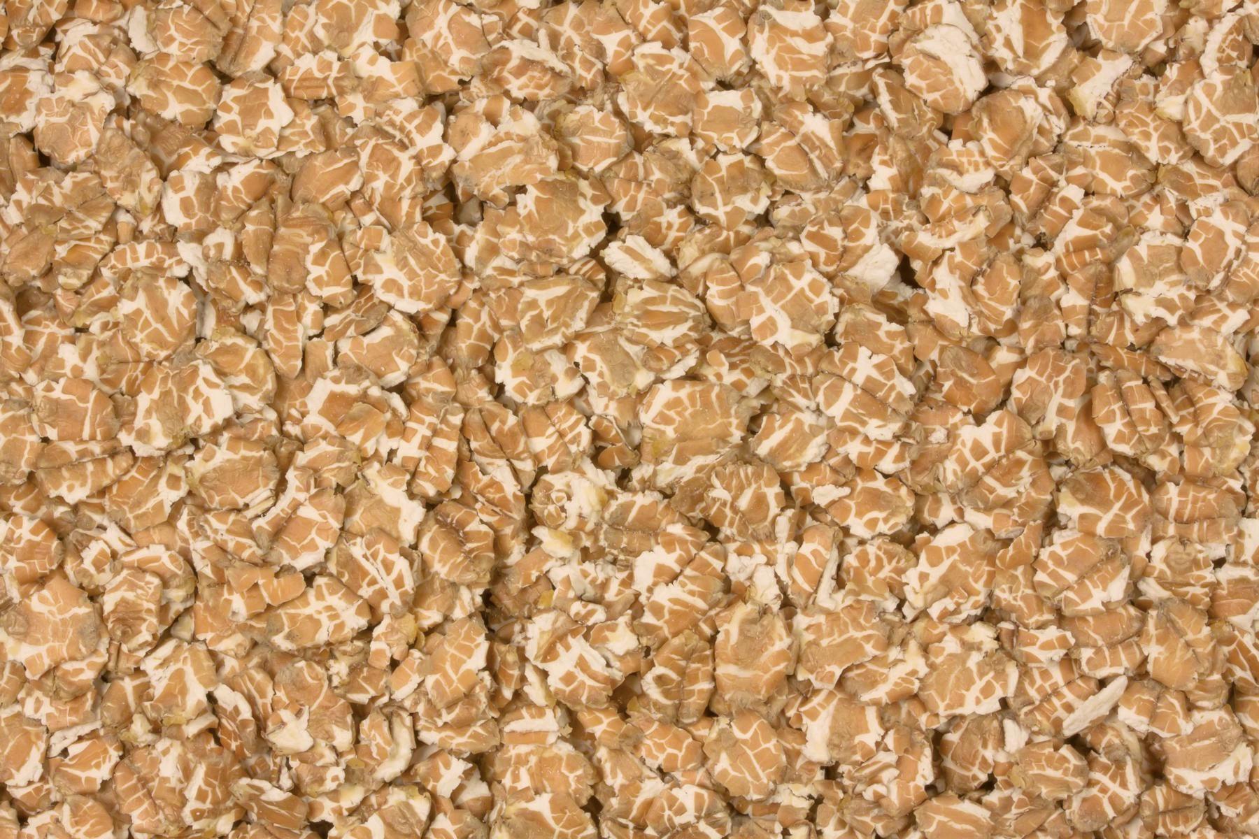 Copos de trigo orgánicos 25kg