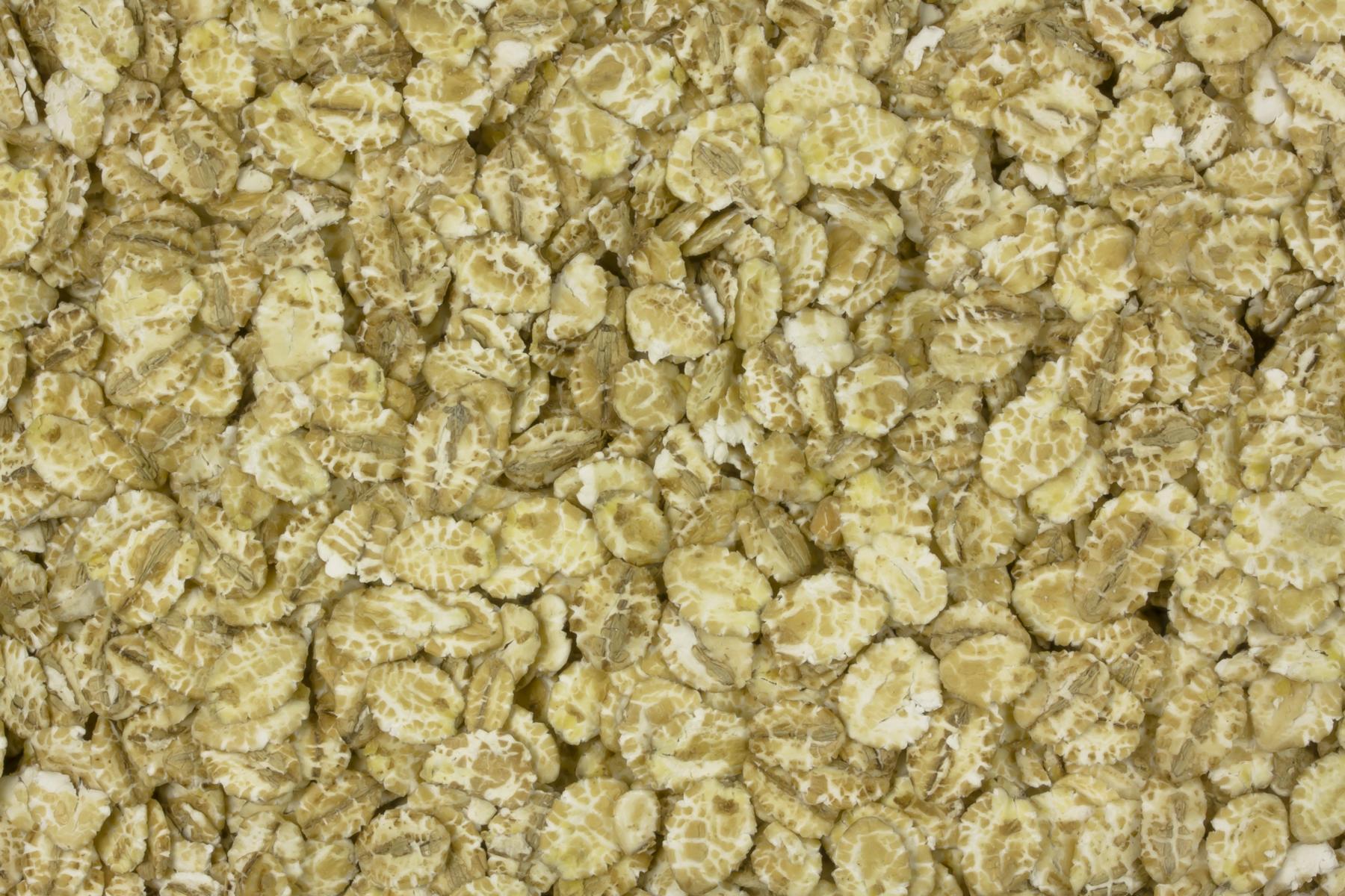 Copos de cebada orgánicos 25kg
