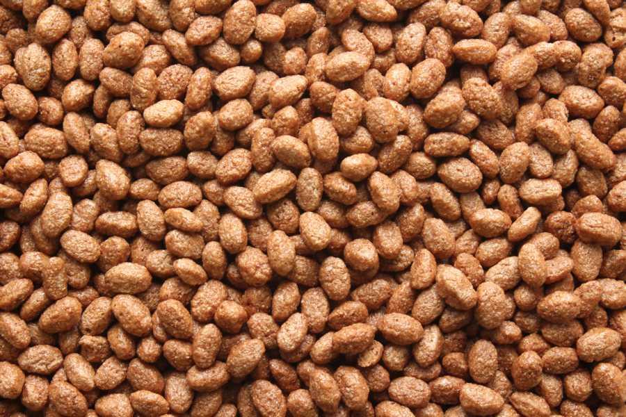 Crisps de chocolate orgánico 10kg