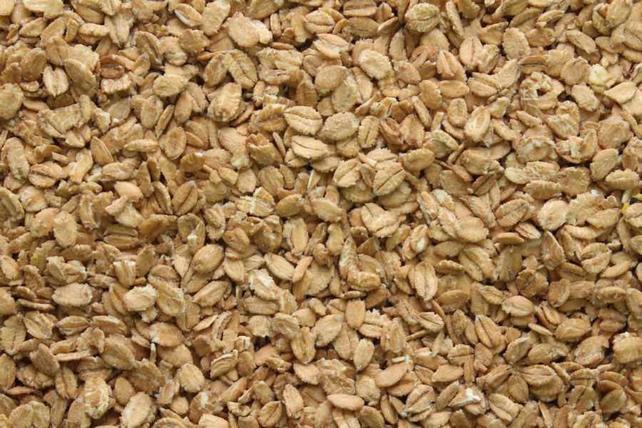 Crujiente de espelta orgánica 25kg